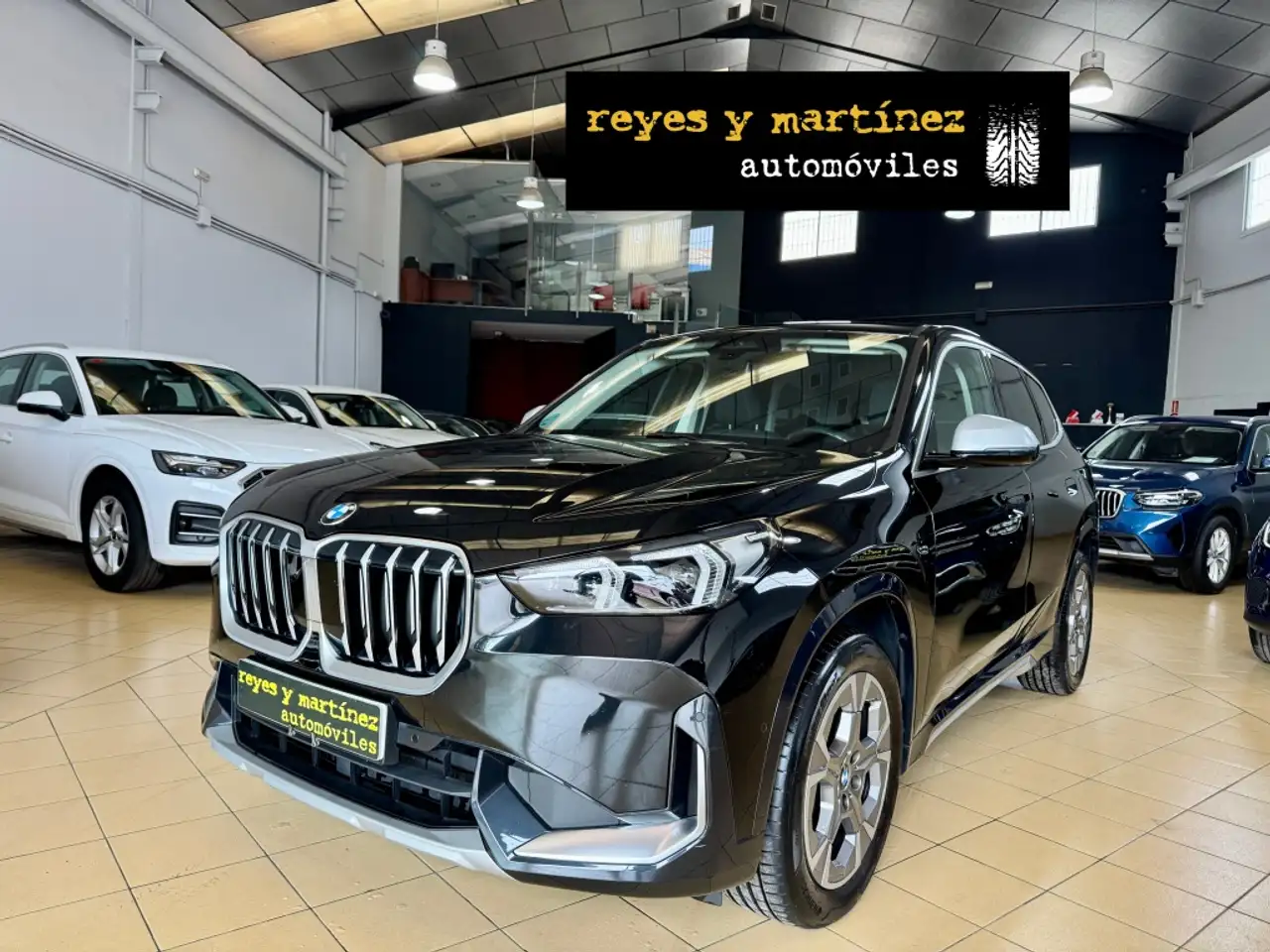 BMW X1 xDrive 20dA xLine