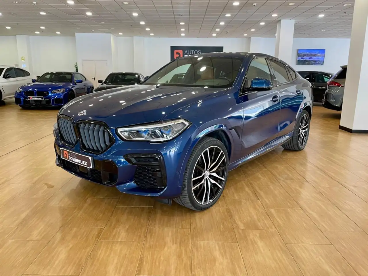 BMW X6 xDrive 30dA