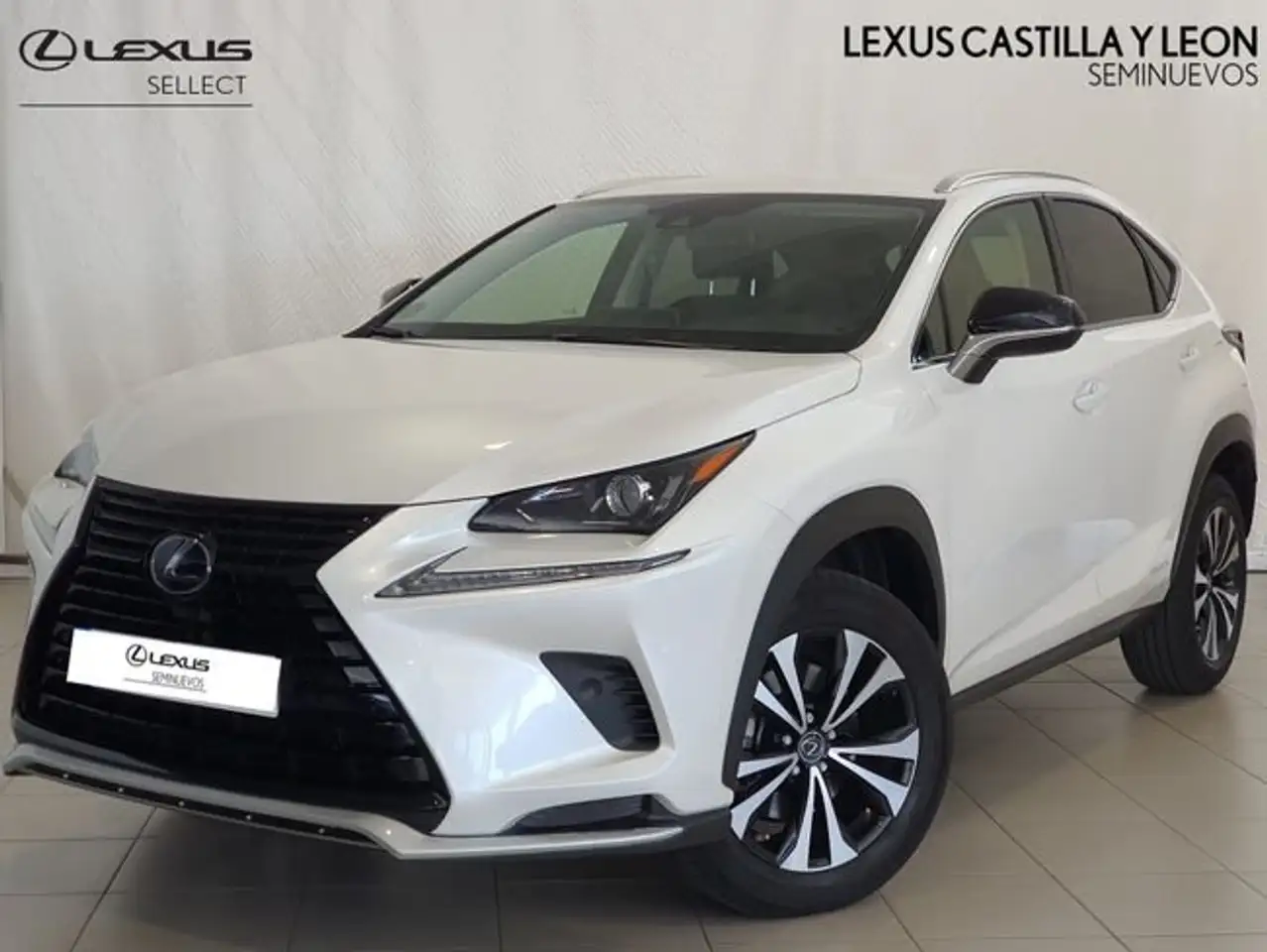 Lexus NX 300 300h Premium 2WD