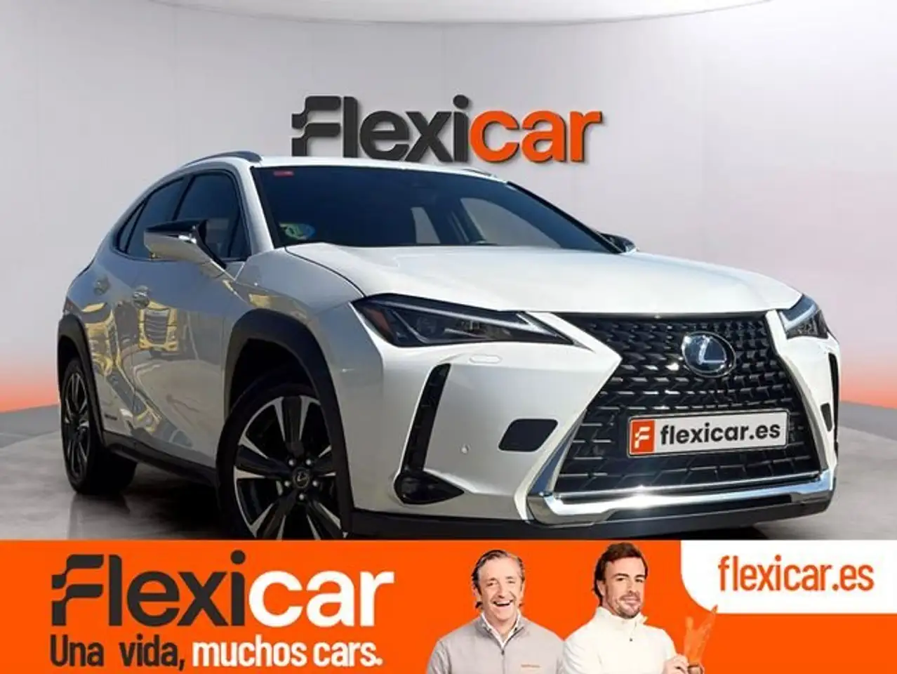 Lexus UX 250h 2.0 Business