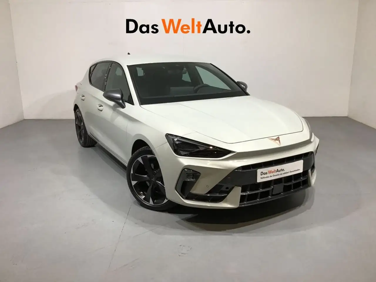 Cupra 75206 1.5 eTSI 110kW (150CV) DSG