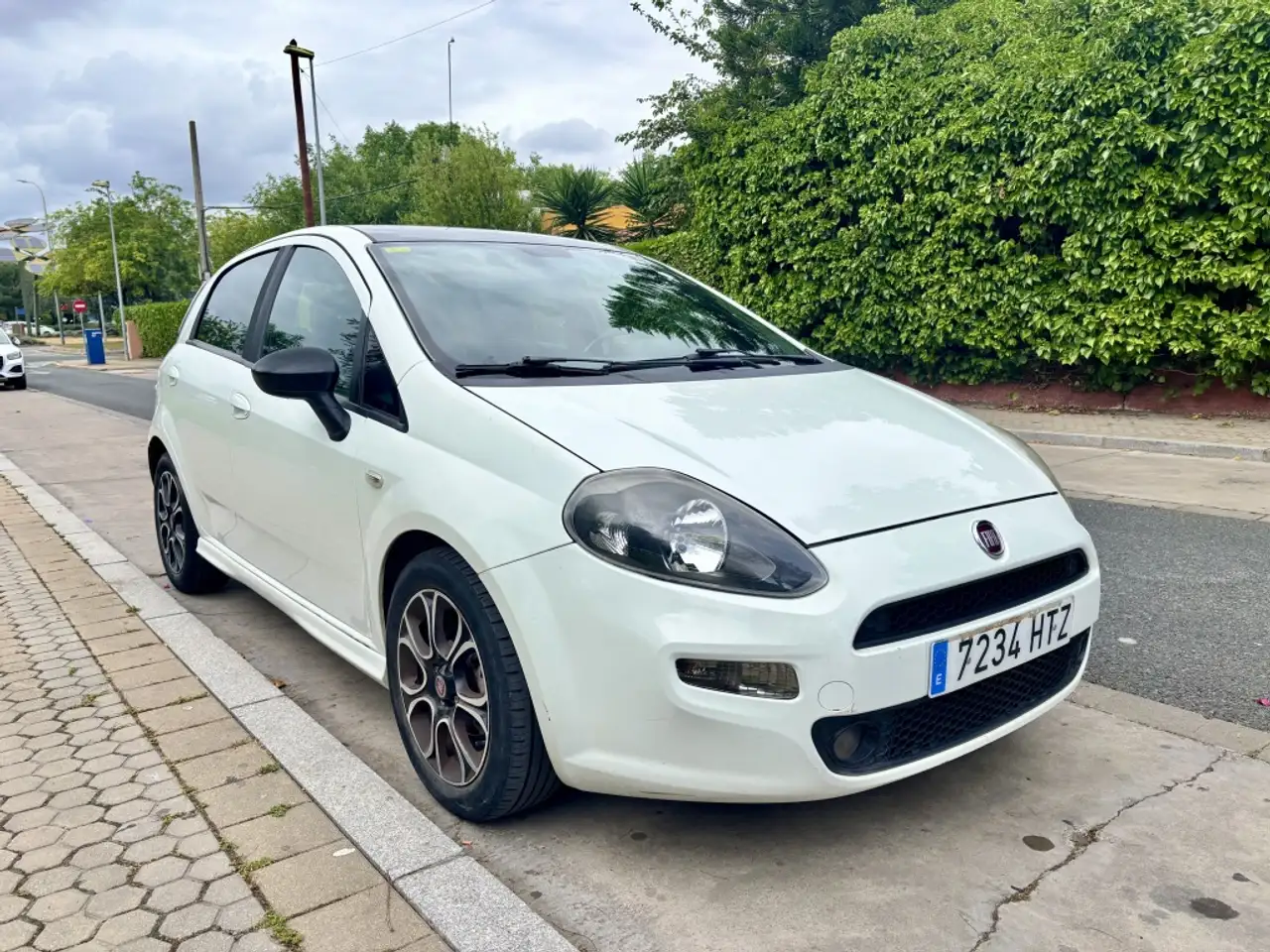 Fiat Punto 1.3Mjt Easy