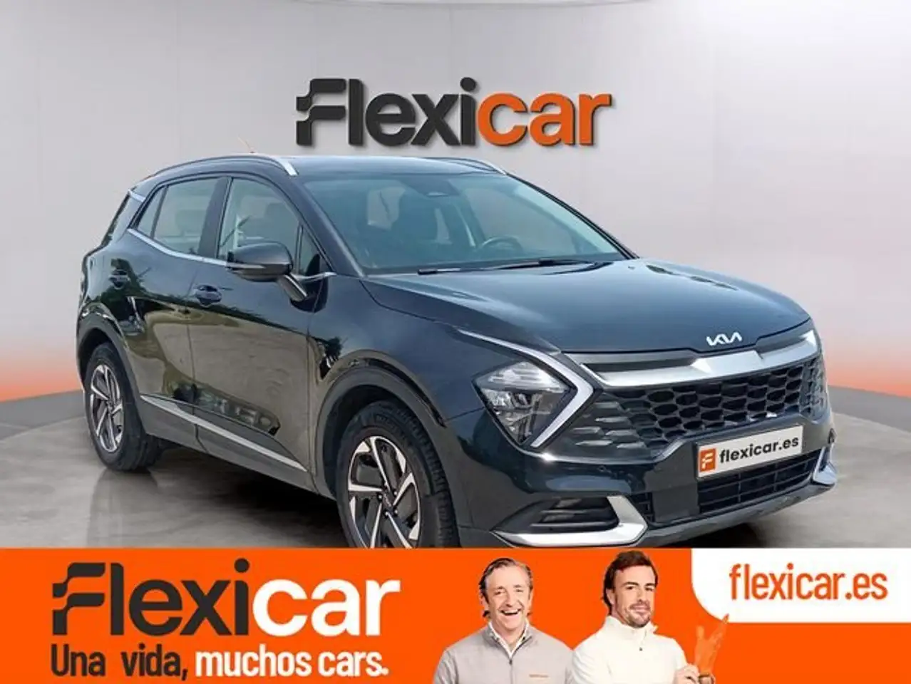 Kia Sportage 1.6 T-GDi HEV Drive 239