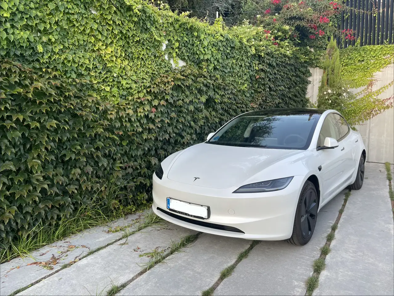 Tesla Model 3 Standard Range Premium RWD
