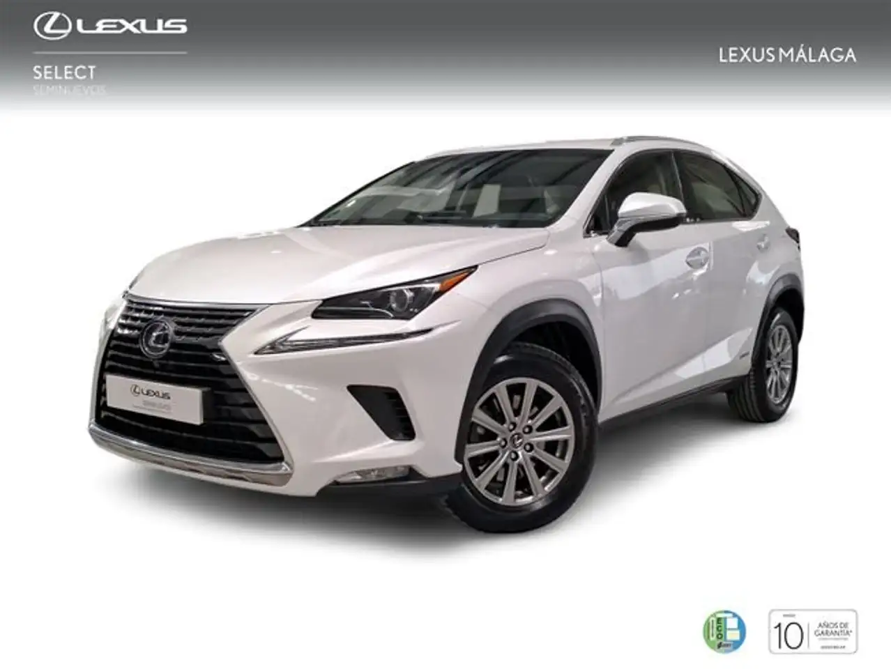 Lexus NX 300 300h Business Navigation 2WD