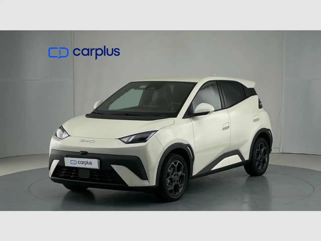 BYD Dolphin Surf Comfort