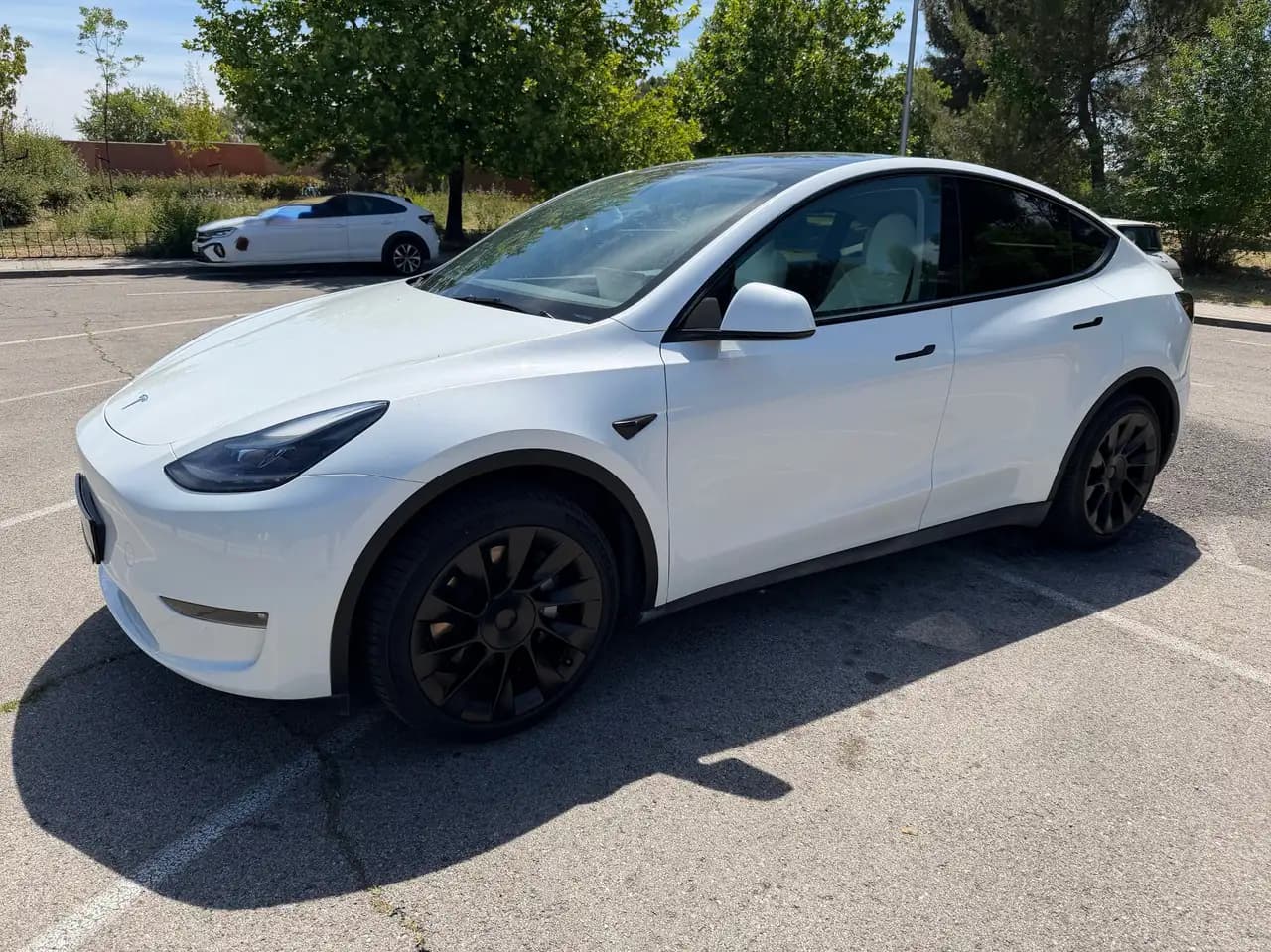 Tesla Model Y Model Y Performance AWD