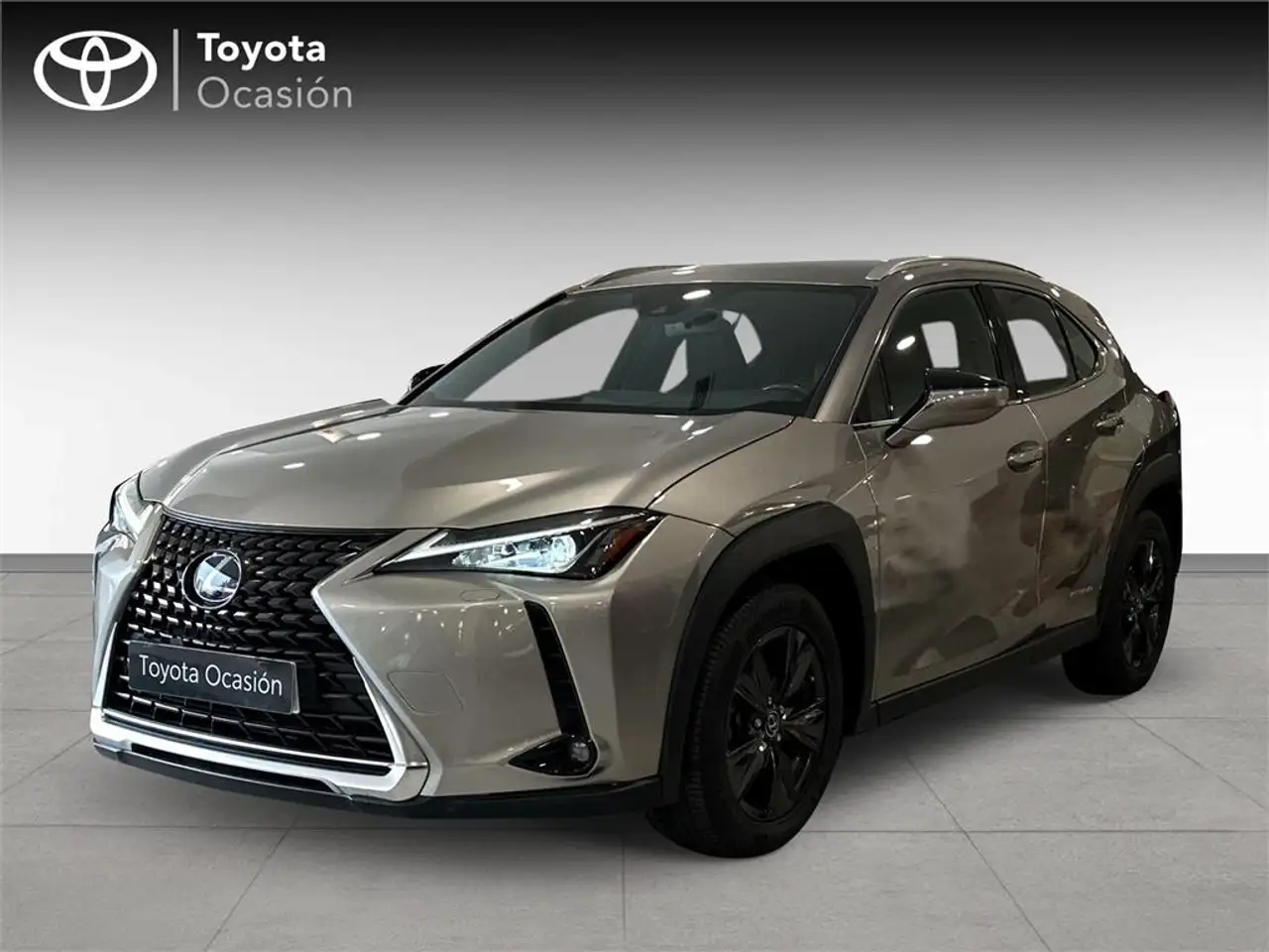 Lexus UX 250h Business Navigation 4WD