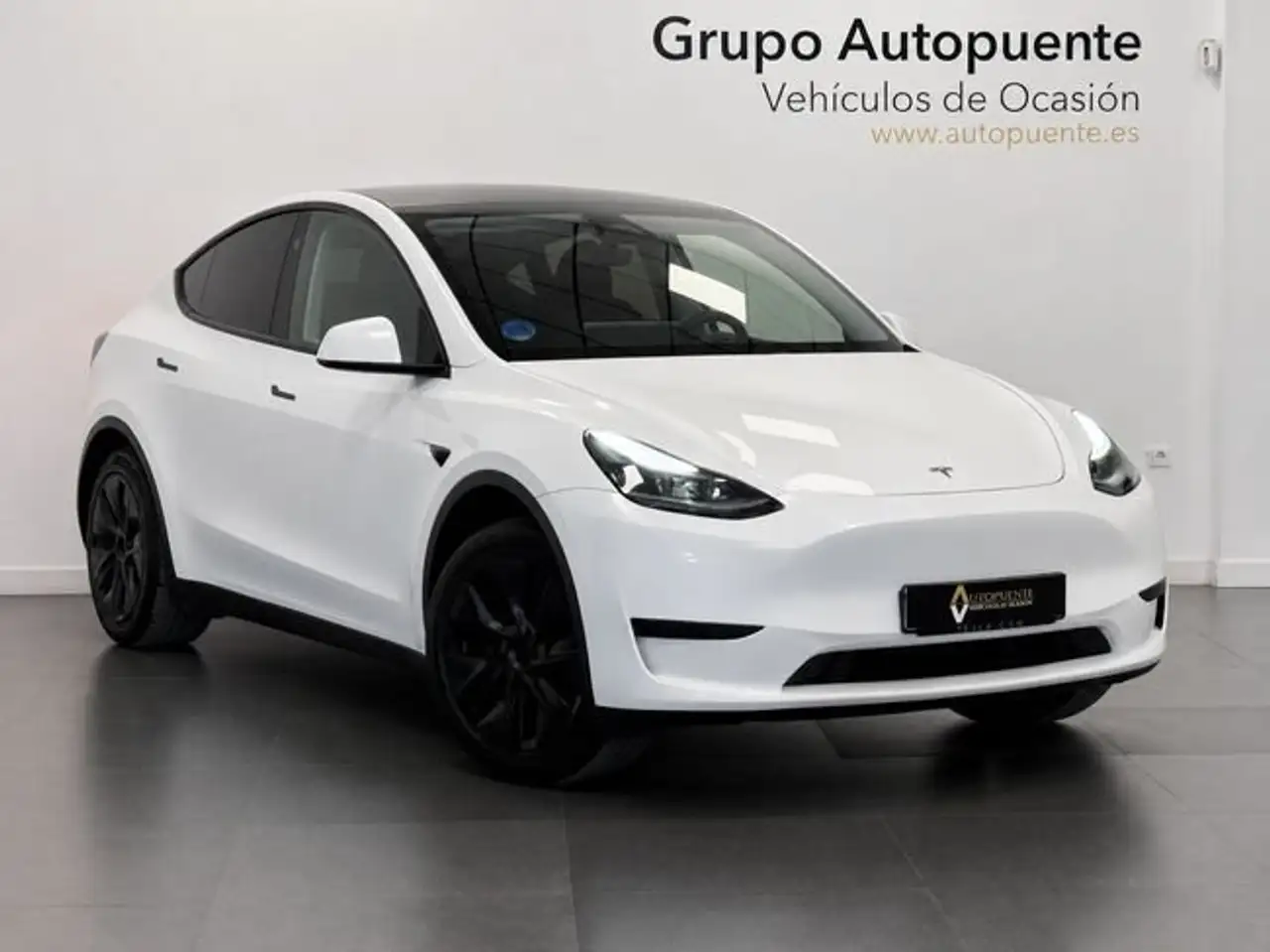 Tesla Model Y Gran Autonomia AWD