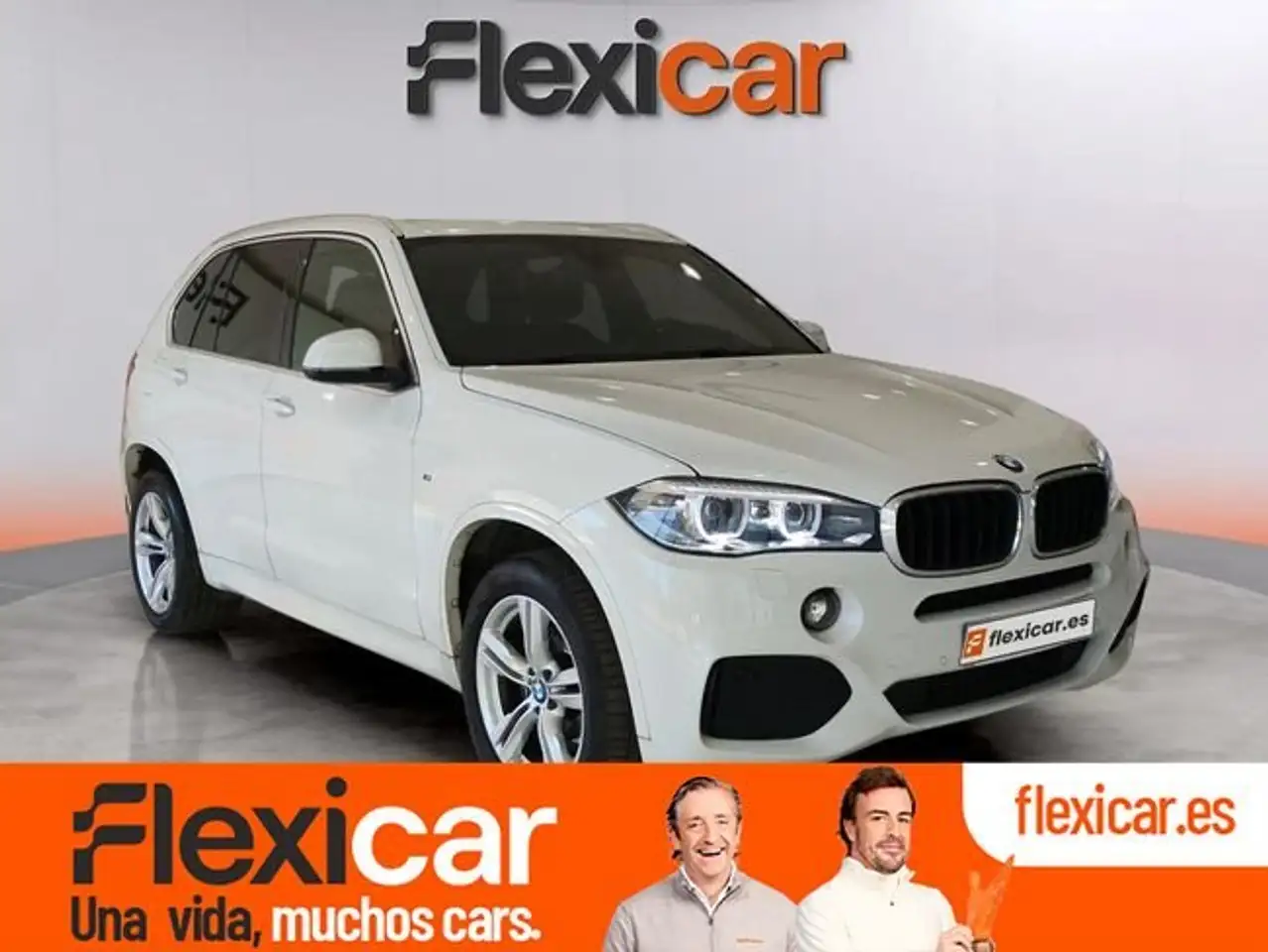 BMW X5 xDrive 25dA