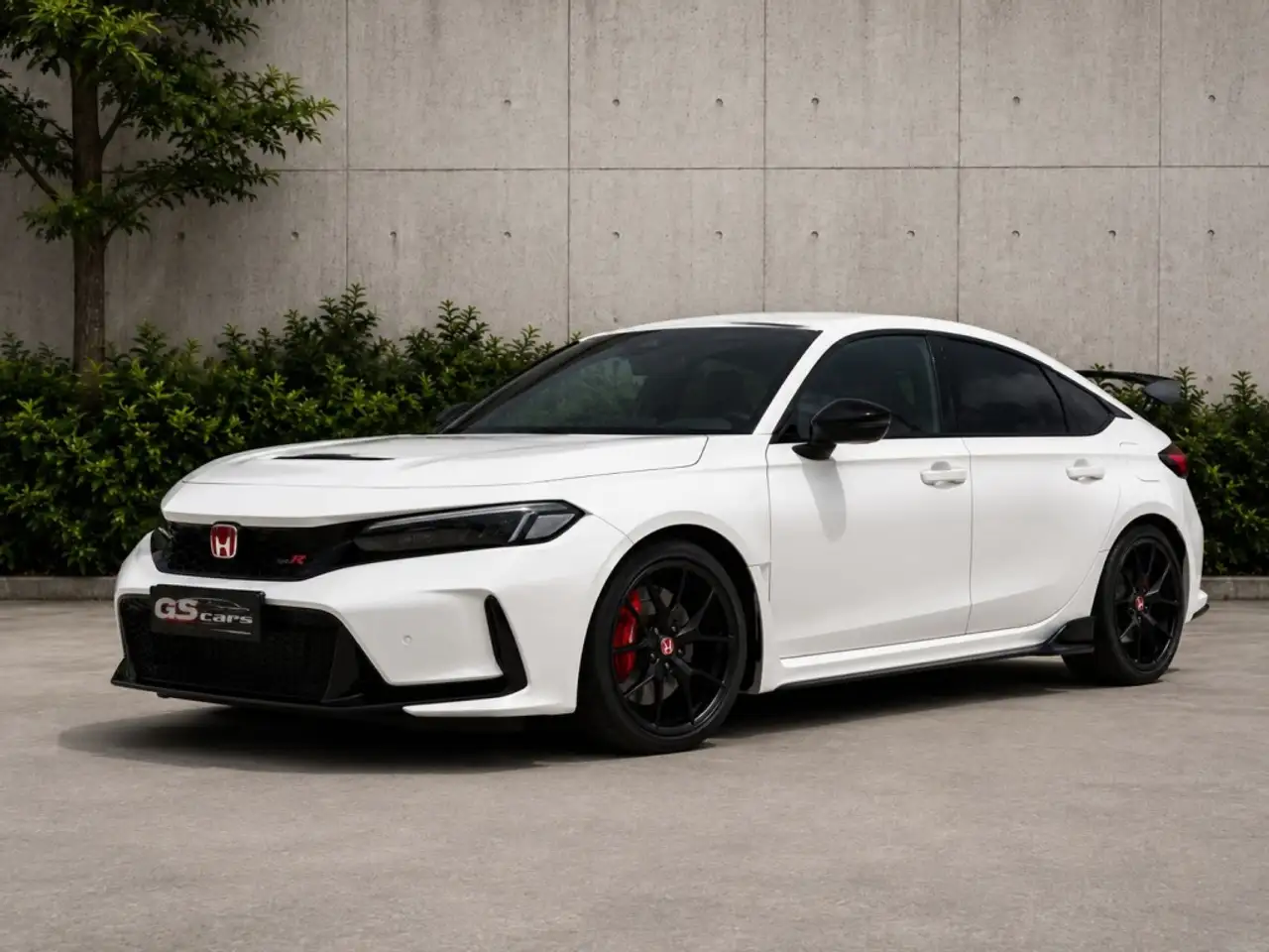Honda Civic 2.0 VTEC Turbo Type R Edición Especial Pack Carbo