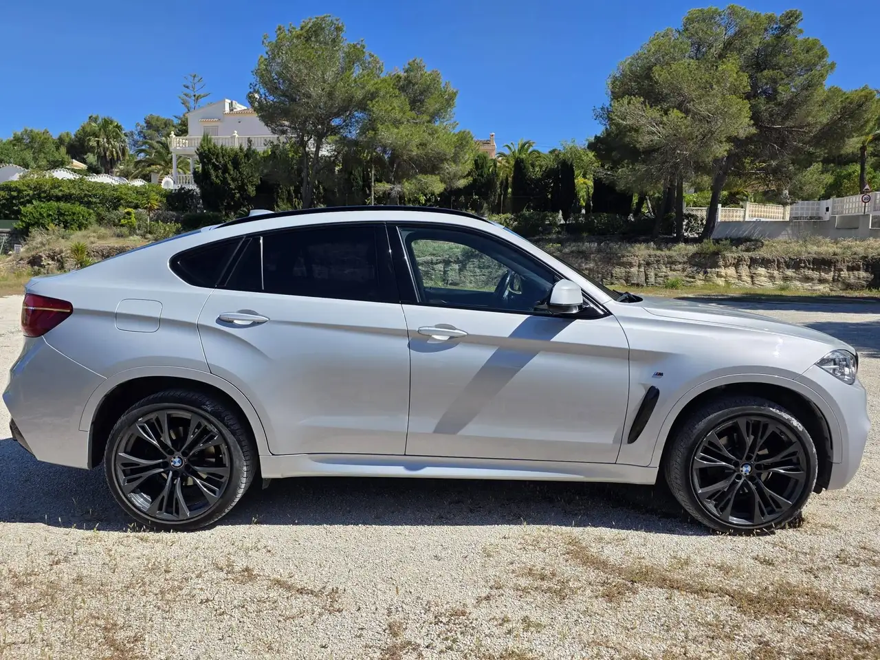 BMW X6 X6 xDrive 30dA