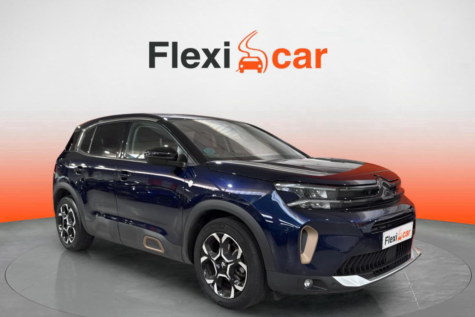 Citroën C5 Aircross BlueHdi 96kW (130CV) S&S EAT8 Plus