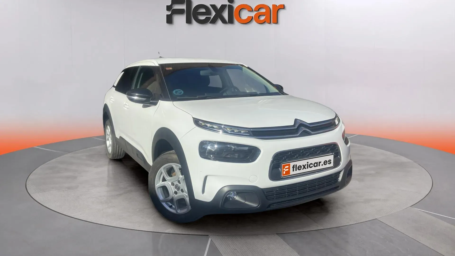 Citroën C4 Cactus BlueHDi 100 S&S Feel