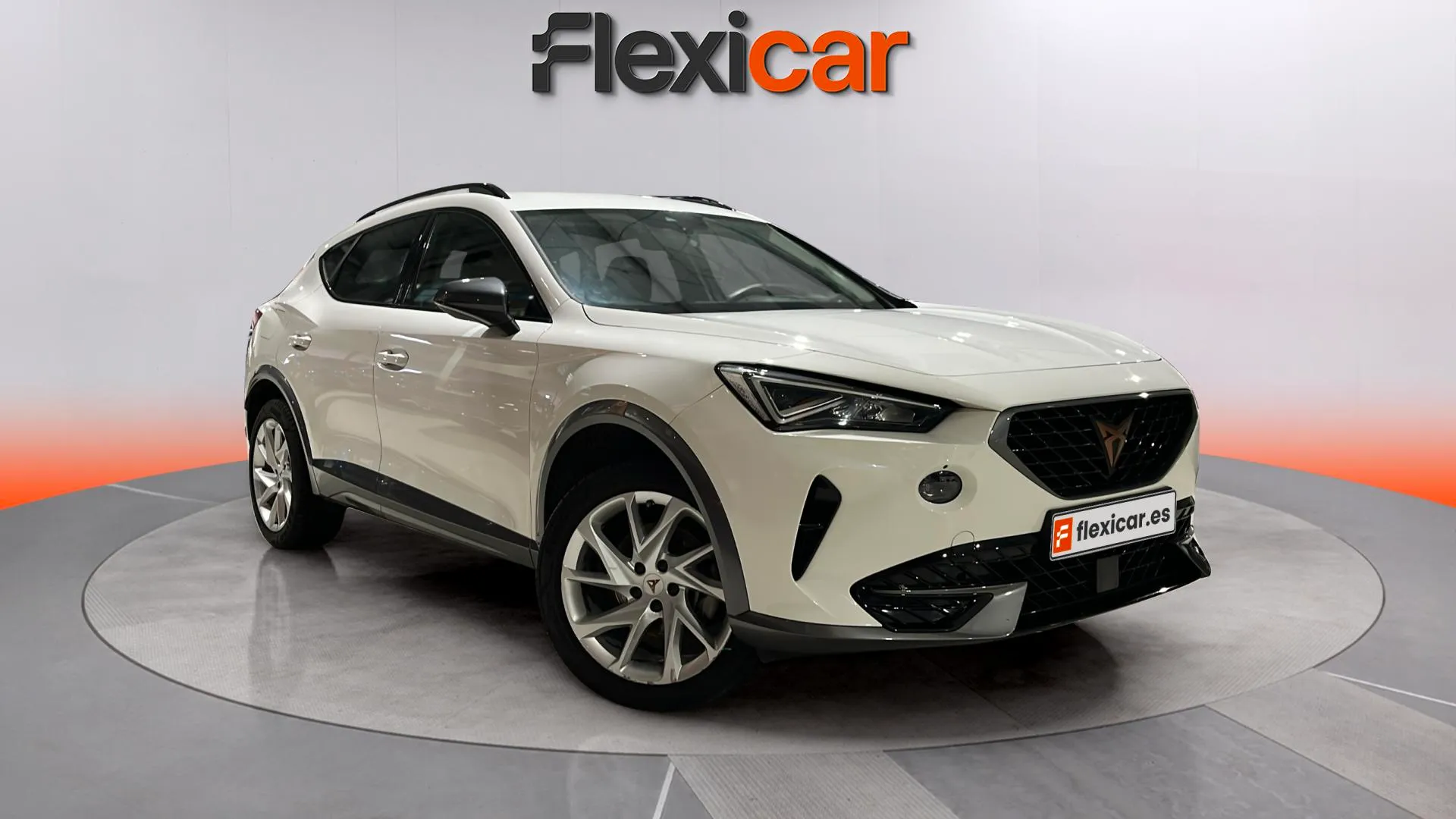 Cupra Formentor 2.0 TDI 110kW (150 CV)