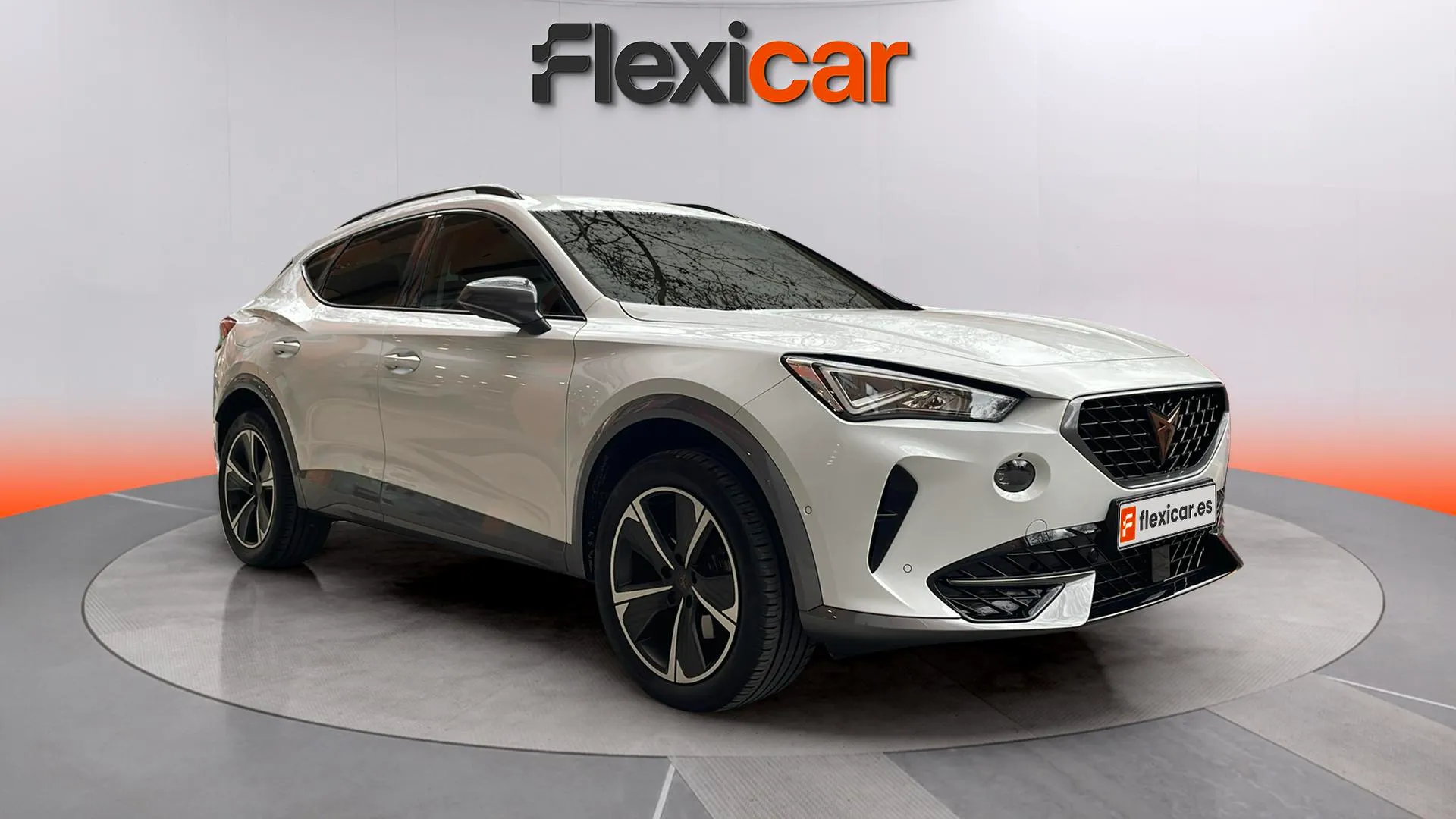 Cupra Formentor 2.0 TDI 110kW (150 CV)