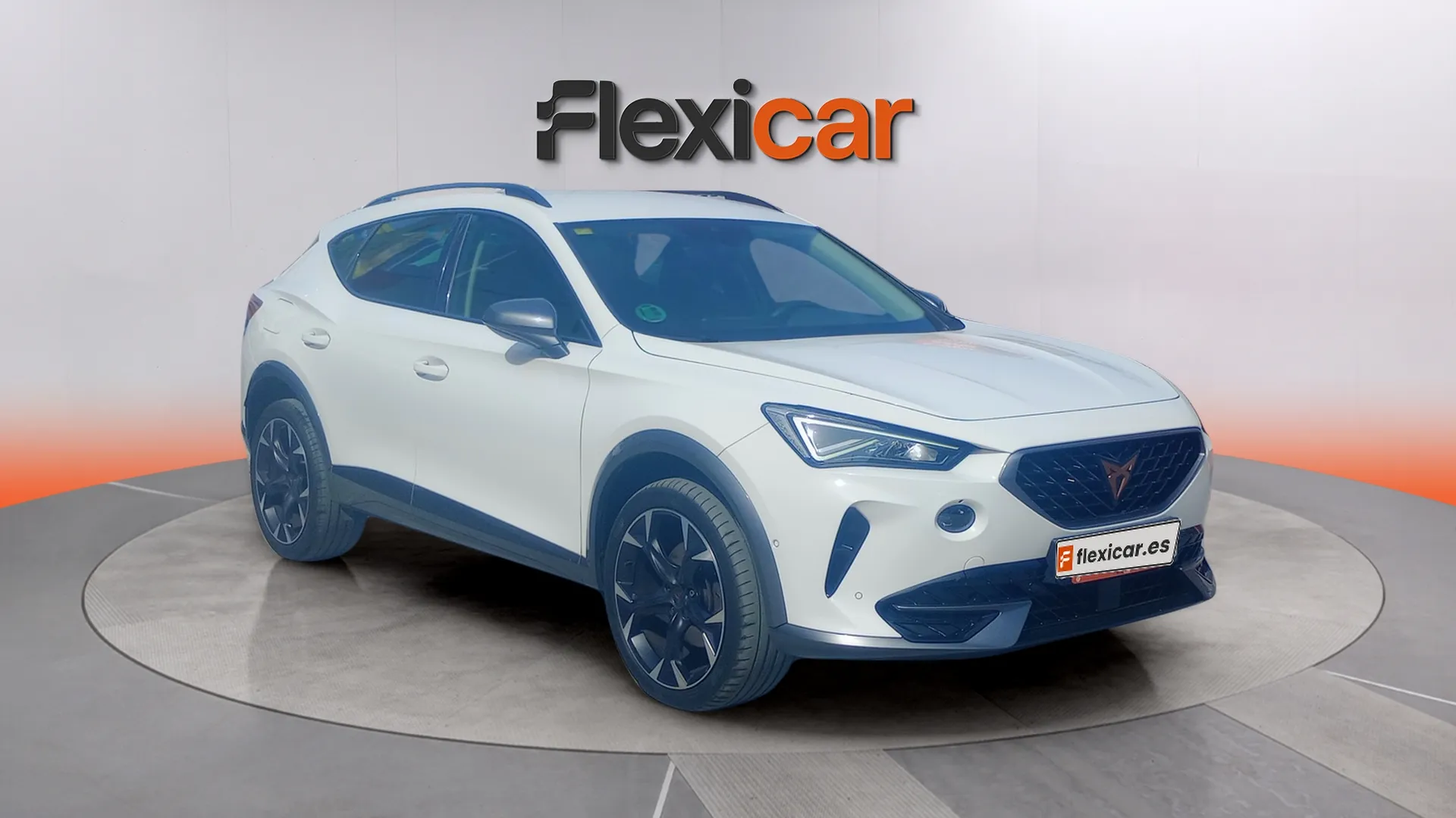 Cupra Formentor 2.0 TDI 110kW (150 CV) 4Drive DSG
