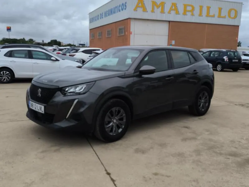 Peugeot 2008 Active Pack BlueHDI 81kW (110CV)