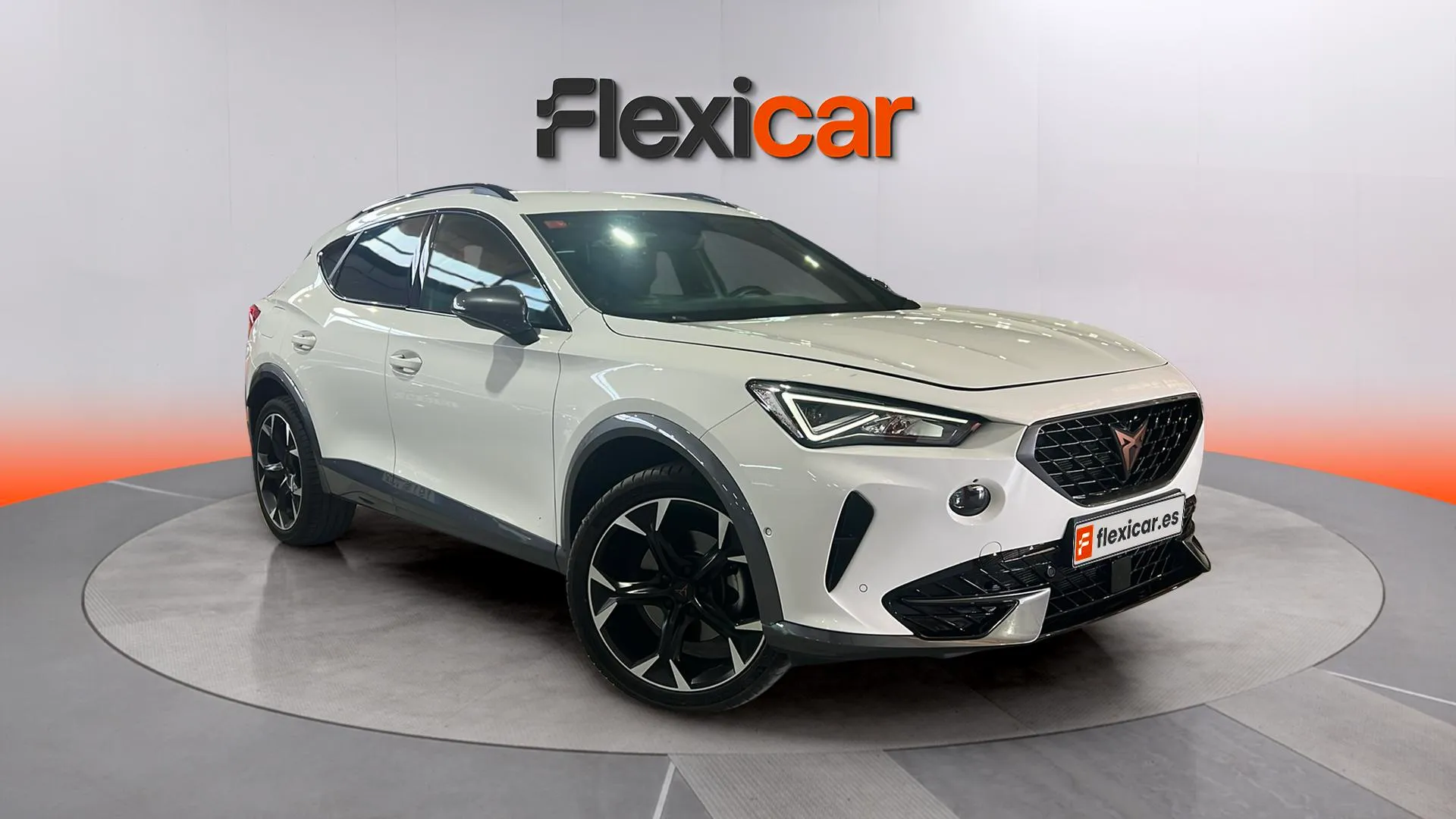Cupra Formentor 2.0 TDI 110kW (150 CV) 4Drive DSG