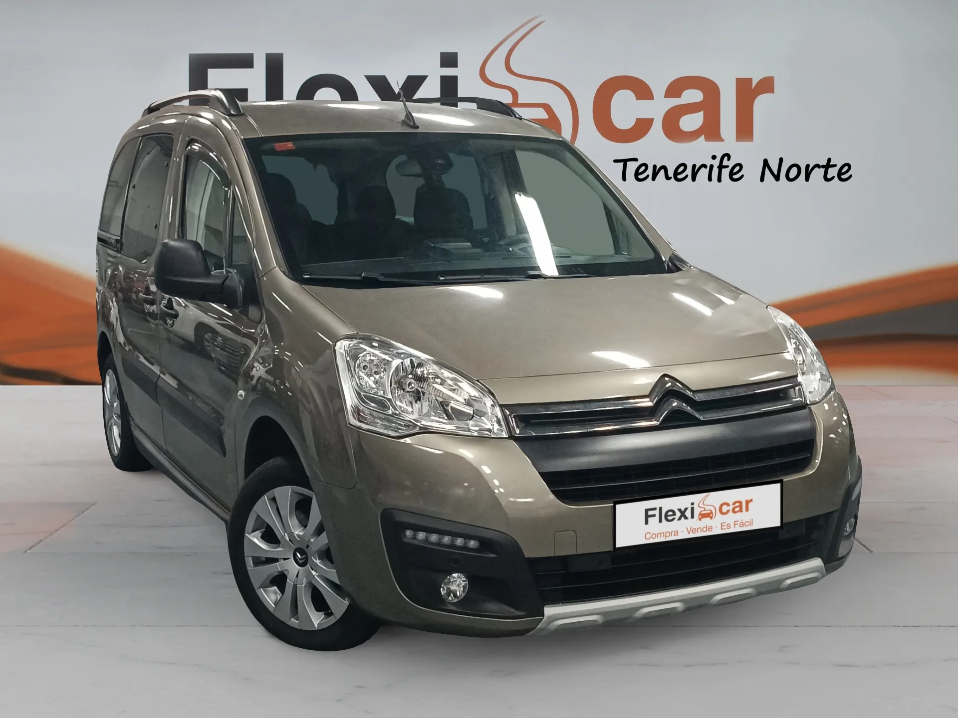 Citroën Berlingo Talla M MULTISPACE PureTech 110 S&S 20 ANIVERSARIO - 5P (2018)